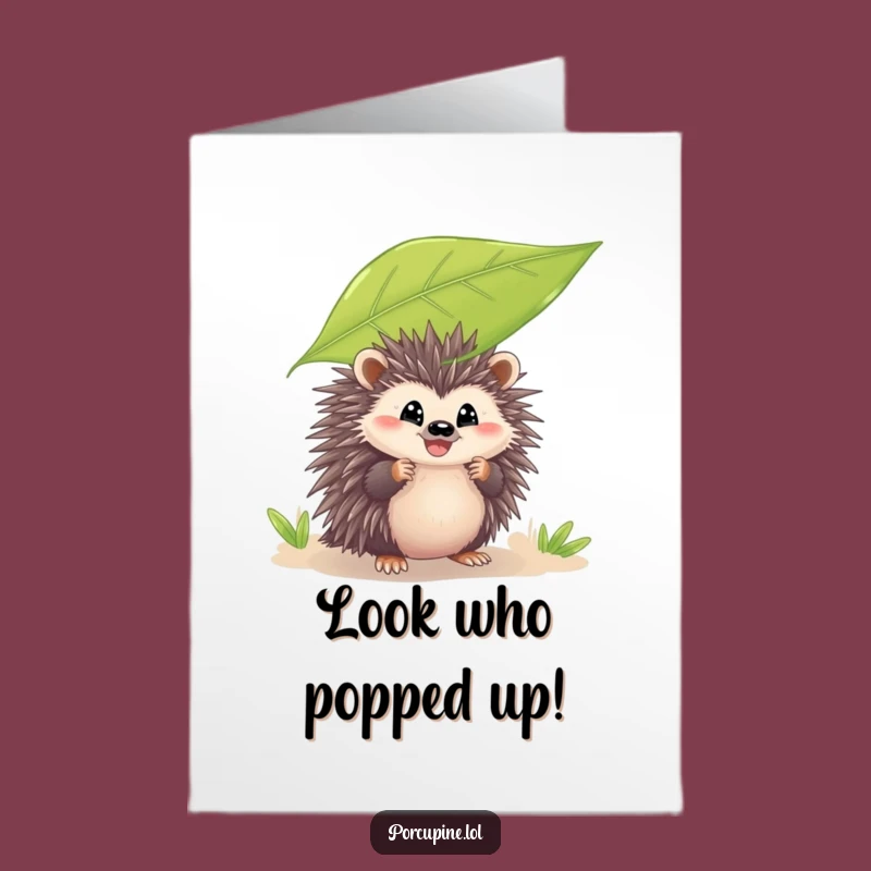 Free Printable Congrats Card: Peeking Porcupine, Funny Grin, Humorous Downloadable